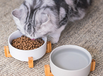 Керамична купа за храна за котки 