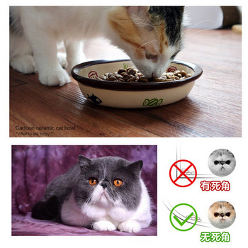 Μπολ για γάτες για φαγητό - τρία μοντέλα