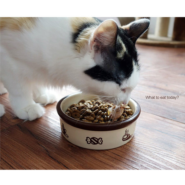 Bol pentru pisici pentru hrana - trei modele