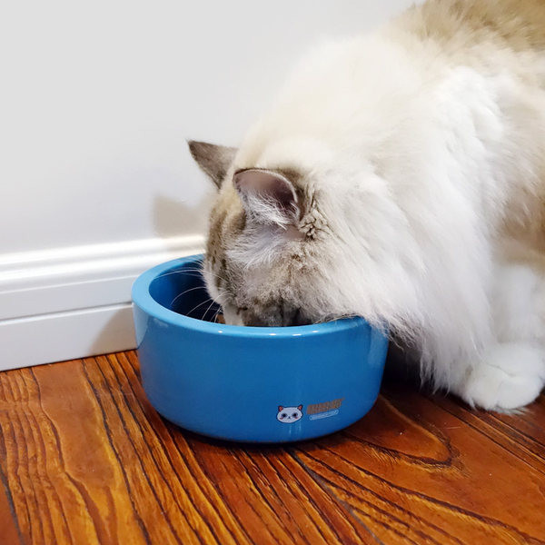 Bol de plastic în patru culori pentru hrana animalelor de companie