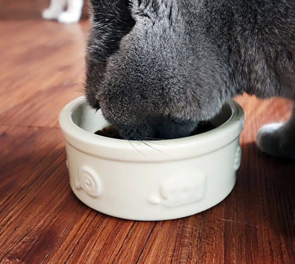 Libisemisvastase põhjaga keraamiline kauss kassitoidu jaoks