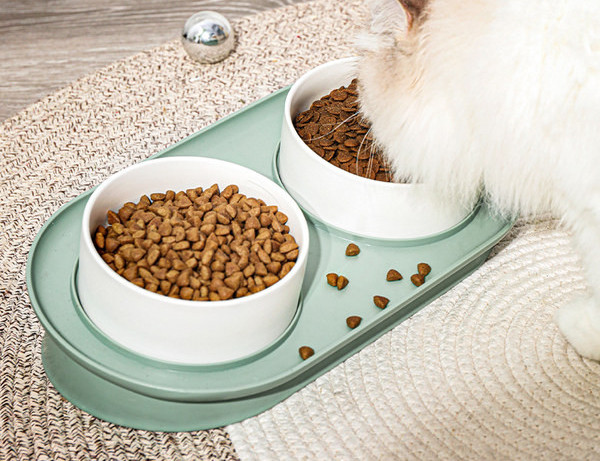 Διπλό κεραμικό μπολ για γατοτροφή