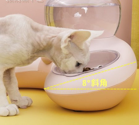 Bol dublu pentru hrana si apa pentru pisici