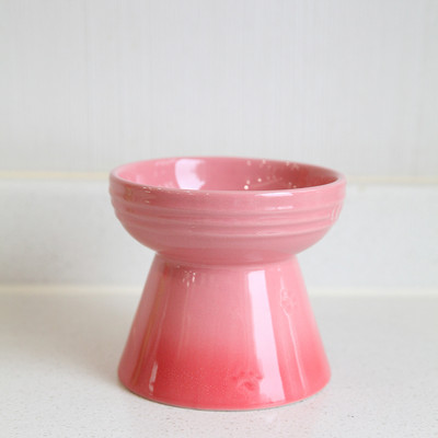 Keraamiline kauss kassidele toidu või vee jaoks