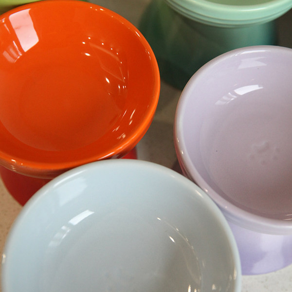 Keraamiline kauss kassidele toidu või vee jaoks