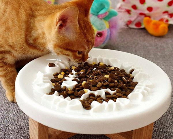Керамична купа с стойка за храна на котки