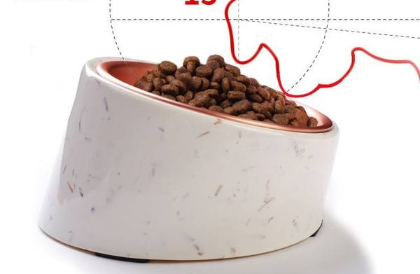 Στρογγυλό μπολ για γατοτροφή