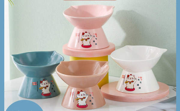 Bol de mâncare din ceramică într-un set pentru pisici