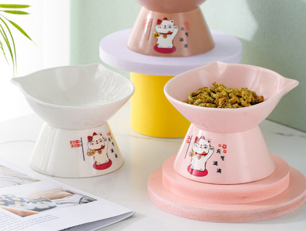 Bol de mâncare din ceramică într-un set pentru pisici