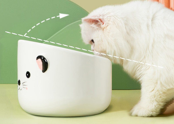 Keraamiline kauss kassitoidu jaoks