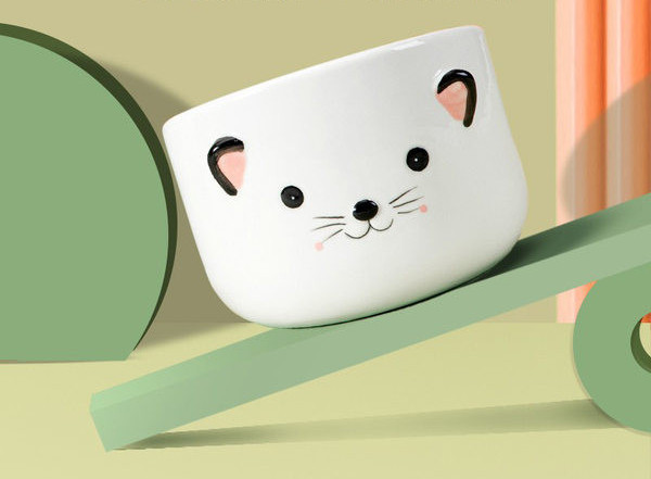 Keraamiline kauss kassitoidu jaoks