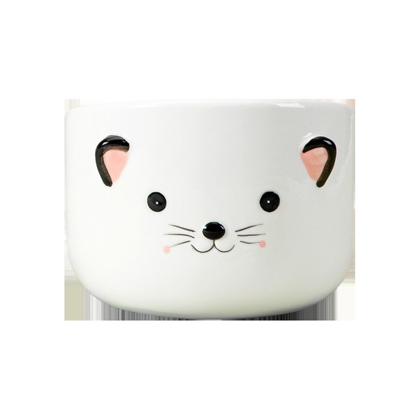 Keraamiline kauss kassitoidu jaoks