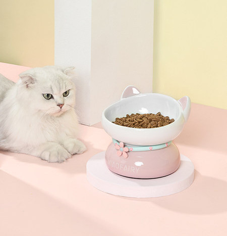 Κεραμικό μπολ για γάτες - δύο μοντέλα