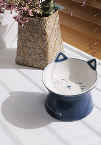 Keraamiline kauss kassidele