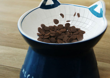 Keraamiline kauss kassidele