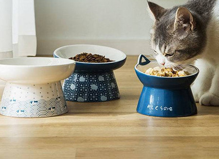 Keraamiline kauss kassidele