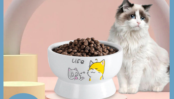 Värviline kassikauss kraani jaoks - mitu mudelit