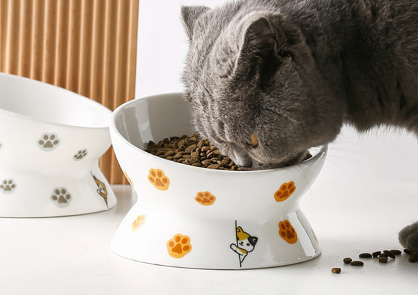 Bol alimentar - cu aplicatii