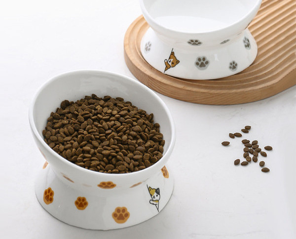 Bol alimentar - cu aplicatii