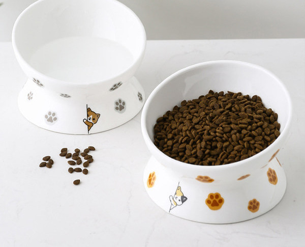 Bol alimentar - cu aplicatii