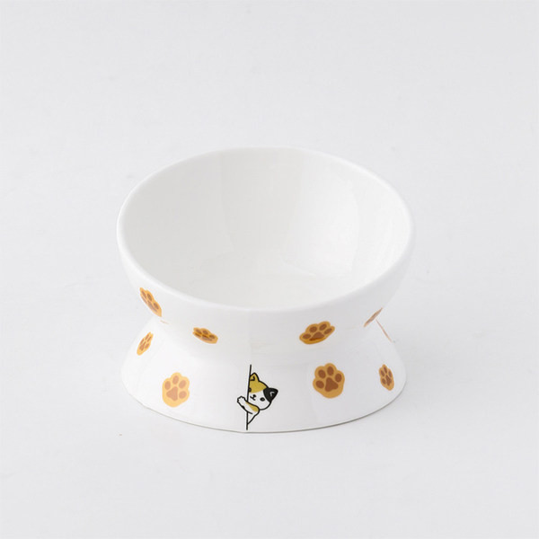 Bol alimentar - cu aplicatii