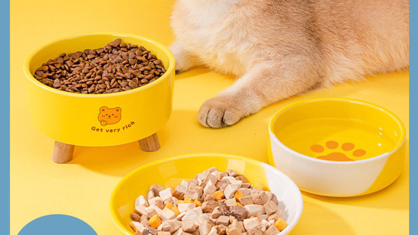 Bol din ceramică pentru hrana pisicilor de culoare galbenă