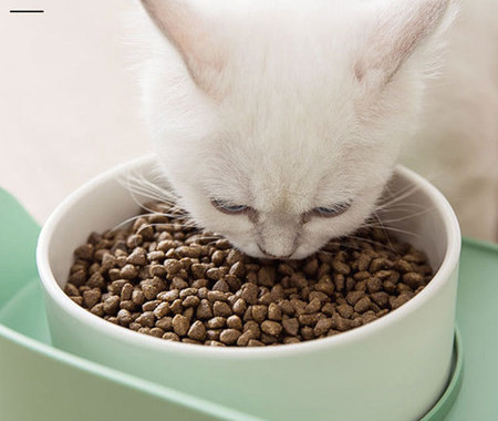 Vas dublu pentru mancare si apa