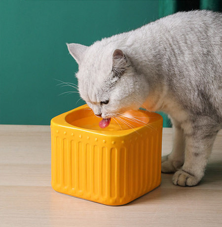 Bol din ceramica in diferite modele pentru pisici