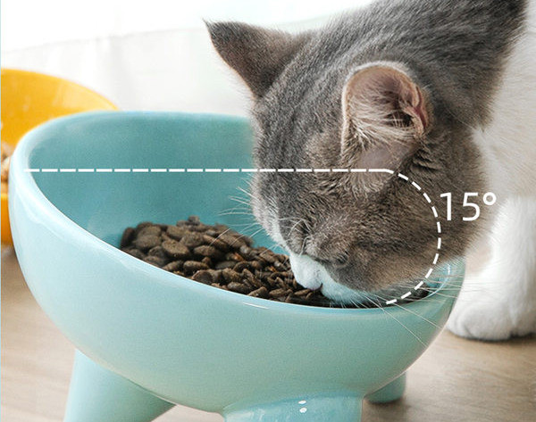 Bol din ceramică pentru hrana animalelor de companie