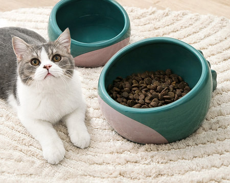 Kahe või ühe keraamilise kausi komplekt - kaks suurust