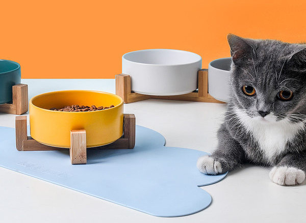 Πλαστικό μπολ για φαγητό ή νερό