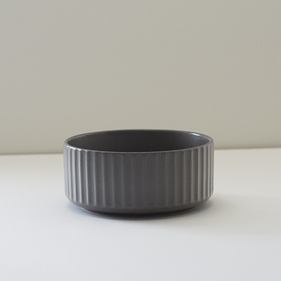 Keraamiline kauss kassitoidu jaoks