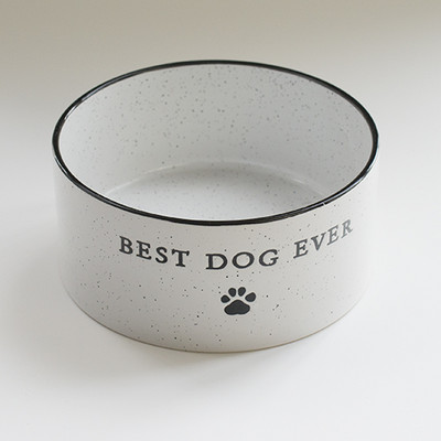 Apaļa bļoda kaķiem vairāki modeļi