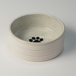 Keraamiline kauss kassitoidu jaoks - mitu mudelit