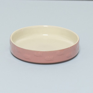 Keraamiline kauss kassitoidu jaoks - mitu mudelit