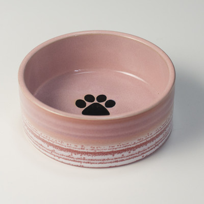 Keraamiline kauss kassitoidu jaoks - mitu mudelit