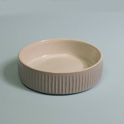 Keraamiline kauss kassitoidu jaoks - mitu mudelit