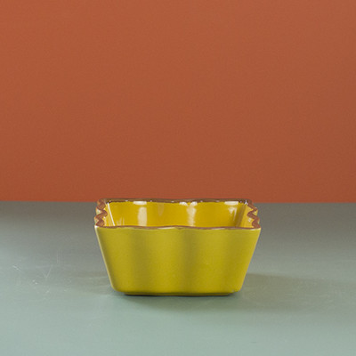 Keraamiline kauss kassitoidu jaoks - mitu mudelit