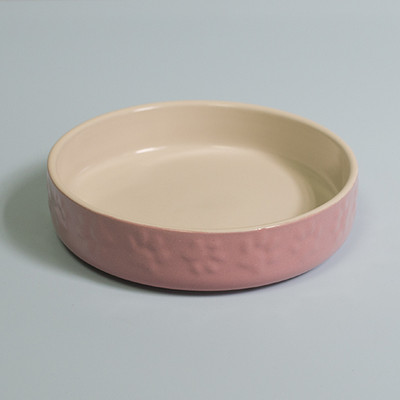 Keraamiline kauss kassitoidu jaoks - mitu mudelit