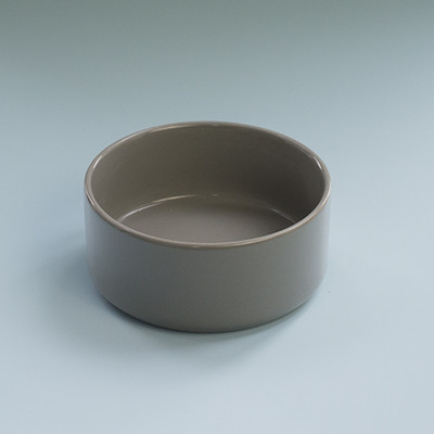 Keraamiline kauss kassitoidu jaoks - mitu mudelit