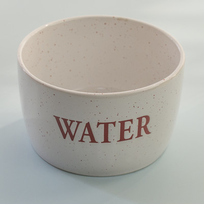 Keraamiline kauss kassitoidu jaoks - mitu mudelit