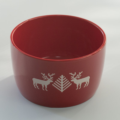 Keraamiline kauss kassitoidu jaoks - mitu mudelit