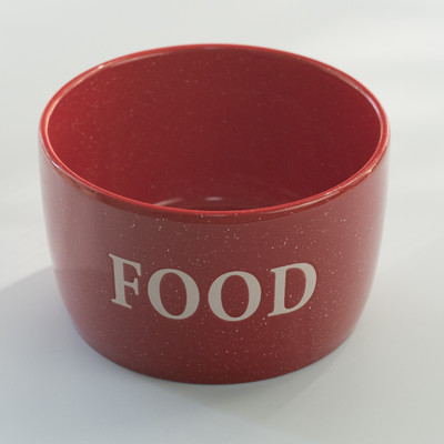 Keraamiline kauss kassitoidu jaoks - mitu mudelit