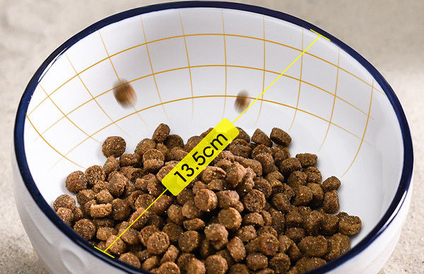 Keraamiline kauss kassitoidu jaoks - kaks mudelit