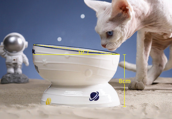 Keraamiline kauss kassitoidu jaoks - kaks mudelit