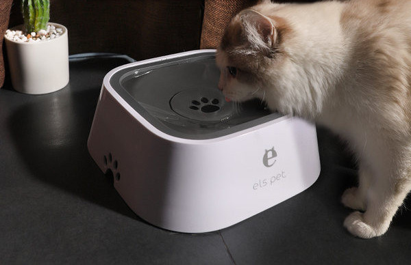 Bol pentru mâncare - trei modele