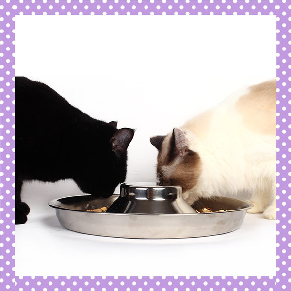Bol metalic pentru mâncare pentru pisici - trei dimensiuni