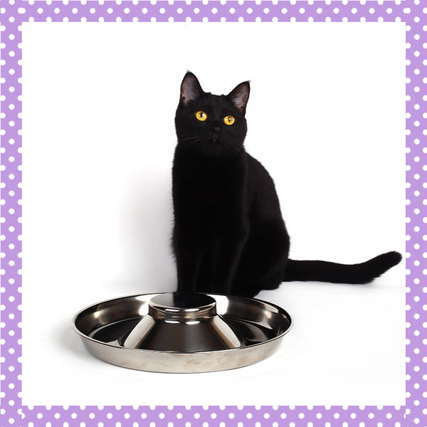 Bol metalic pentru mâncare pentru pisici - trei dimensiuni