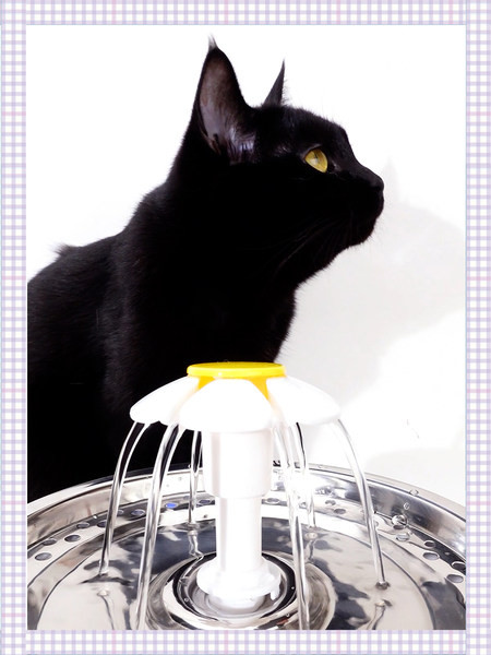 Dozator metalic de apa pentru pisici