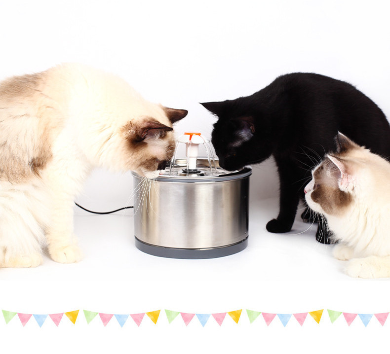 Dozator metalic de apa pentru pisici